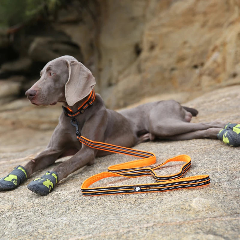 Dog Leash with Padded Handle Training Durable 200cm Luxury Pet Leash for Small Medium Large Dogs accessories