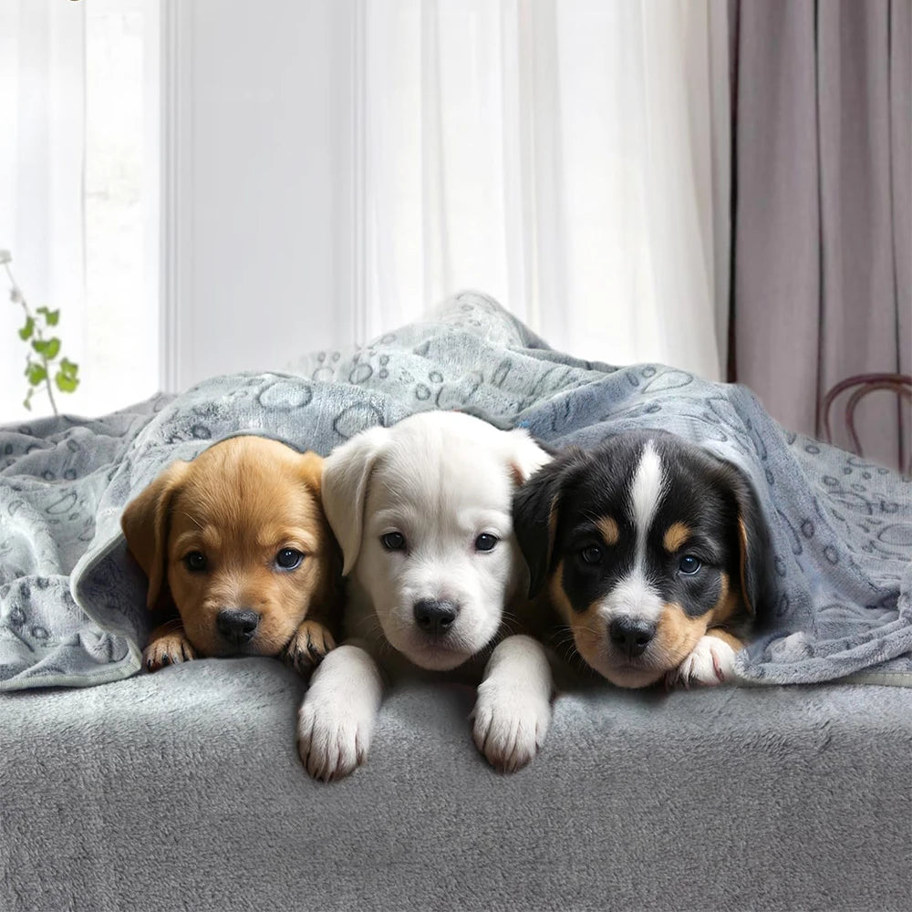 1pcs Ultra-Soft Paw Print Dog Blankets - Machine Washable, Cozy Pet Pillow Pads for Indoor & Outdoor Use - Ideal for Small to Large dogs
